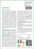 SAFLAX  - Coda di lepre - 100 semi - Con substrato - Anteprima dell’immagine prodotto 3