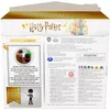 Wizarding World WWO PYS LctPotionsClassroom V1 GML, Náhled obrázku produktu 13