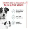Royal Canin Starter Mousse Mother & Baby Dog, Universal, Produktbild-Vorschau 5
