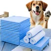 Trainingsunterlagen für Hunde und Welpen, 100er Hygienisch Produktbild-Vorschau 15