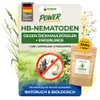 POWER HB-Nematoden gegen Dickmaulrüssler & Engerlinge, 5 Produktbild-Vorschau 1