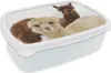 KitchenYeah® Lunchbox Brotzeit Brotdose 17x11 cm Lama - Produktbild-Vorschau 1