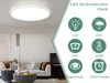 A modern living room with a ceiling light and a piano in the background, with a graphic overlay detailing product features. Anteprima dell’immagine prodotto