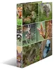 Raccoglitore ad anelli HERMA A4 in cartone 2D animali della Anteprima dell’immagine prodotto 15