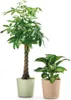 Pot de fleurs Fyre Ø 30 cm oasi Greener, avec roulettes Voir les images du produit 3