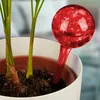 Relaxdays Bewässerungskugel 2er Set, dosierte Pflanzen Produktbild-Vorschau 2