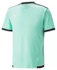 PUMA teamLIGA Jersey PUMA WHITE-PUMA BLACK PUMA WHITE-PUMA Náhled obrázku produktu 5