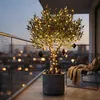 Flame Lights lichtketting met timer - 24 LED's / 230 cm - Productafbeelding-voorbeeld 5