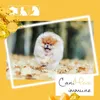 CaniMove immune maxi (ab 10kg) Produktbild-Vorschau 6