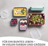 Emsa CLIP & CLOSE Colour Edition Grün 4er Set (0,2 / 0,55 / Produktbild-Vorschau 24