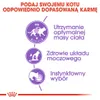 Royal Canin Feline Sterilised in Sosse, Dospělý jedinec, 85 Náhled obrázku produktu 5
