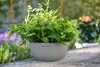 LECHUZA-Pflanzgefäß CUBETO Stone 30 Steingrau | Produktbild-Vorschau 12
