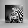 Bild auf Leinwand - Leinwandbild - Tier Zebra Streifen - Produktbild-Vorschau 3