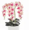 Künstliche Orchidee Cremerosa Kaskaden Blumenstrauß im Topf Produktbild-Vorschau 2