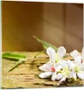 Bilder auf glas - Asien spa bambus blume - 50x50cm - Produktbild-Vorschau 1