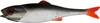 LMAB Finesse Filet 7cm Roach Gummifisch Produktbild-Vorschau 2