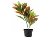 Umělá listnatá rostlina v květináči Ficus, 58 cm Náhled obrázku produktu 4