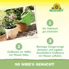 Neudorff  - Azet RosenDünger 1L für 200L Gießwasser - 100 % Produktbild-Vorschau 5