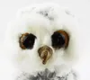 Beanie Boos Owlette Chouette blanc 24cm Doudou Voir les images du produit 9