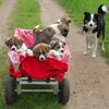 Relaxdays Sackkarrenrad 3.00-4, 2er Set, luftbereift, bis Produktbild-Vorschau 5