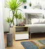 A modern living room setting with a nightstand, sofa, plants, and rug. Podgląd zdjęcia produktu