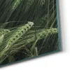 DEQORI Hybrid Leinwand Bild 100x50 cm 'Getreidefeldidylle' Produktbild-Vorschau 5