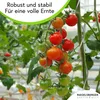 Tomatenspiralen aus Stahl Ø 5,6 mm Tomatenspiralstäbe Ranke Produktbild-Vorschau 5