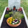 Pflanzschale rund Ø 40cm Blumen Schale Pflanzkübel Produktbild-Vorschau 7