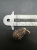 Patawa (Oenocarpus bataua)  - 3 pezzi Anteprima dell’immagine prodotto 3