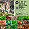 Blumfeldt Podwyższona grządka z metalu, Odporna na warunki Podgląd zdjęcia produktu 6