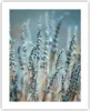 Poster - Poster ohne Rahmen - Lavendel Klinge Blume - 40x50 Produktbild-Vorschau 1