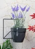 Howhomely porte-plantes support mural noir autour de 22 cm Voir les images du produit 2
