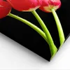 Bild auf Leinwand - Leinwandbild - Einteilig - Tulpe garten Produktbild-Vorschau 5