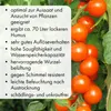 Kokosfaserhumus 24x650 g – ergibt ca. 216 L Blumenerde – Produktbild-Vorschau 5