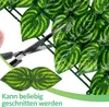 Jopassy súkromie živý plot vetrolam brečtan súkromie Náhľad obrázku produktu 5