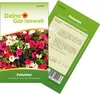 Petunien Einfache Mischung Samen - Petunia hybrida - Produktbild-Vorschau 1
