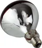 A close-up, studio shot of a heat lamp bulb. Produktbild-Vorschau