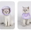 INF Halsband für Hunde und Katzen – verstellbare Passform S Produktbild-Vorschau 8