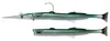 Savage Gear Salt 3D Needle Fish Pulse Tail - Gummifisch, Produktbild-Vorschau 2