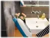 Dampfsauger Black & Decker FSMH13E5 1300 W 1300 W Produktbild-Vorschau 39