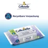 Cottonelle Feuchtes Toilettenpapier Pure Pflege Produktbild-Vorschau 5
