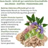 PASSIONSBLUME + BALDRIAN + HOPFEN. 360 GUTE Nacht - SCHLAF Produktbild-Vorschau 3