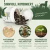 REAVET Gras & Kotfresser Drops für Hunde – Sekundierend bei Produktbild-Vorschau 4