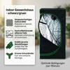 Mucola serre avec hygromètre 3 en 1 pour plantes tente de Voir les images du produit 12