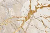 Tapis GOLDEN Moderne Tapis à poils courts Beige Golden  160 Voir les images du produit 3
