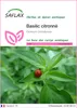 SAFLAX  - Basilic citronné - 200 graines - Ocimum Voir les images du produit 1