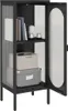 A black cabinet with glass doors displays books, containers, and decorative items. Produktbild-Vorschau