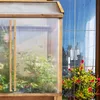 Greenspot Lavish Mini Skleník - 100x80x178cm Palisandr Náhled obrázku produktu 10