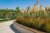 A park pathway curves around a raised planter filled with tall ornamental grasses and a wooden bench. Produktbild-Vorschau