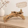 Kuwa Deko-Wurzel 25-30 oder 40-50 cm Maulbeerbaum Morus Produktbild-Vorschau 7